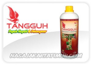 tangguh dekomposer 