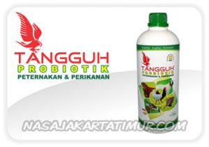 tangguh probiotik 